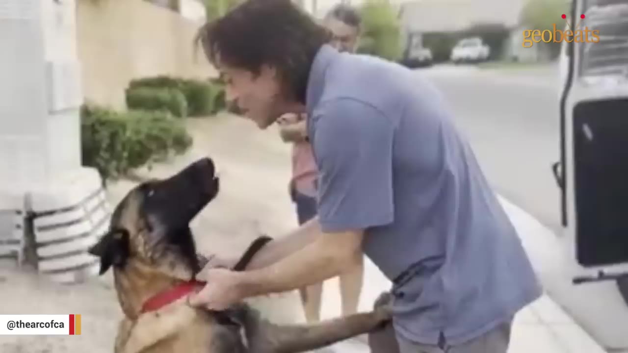 A man in a blue shirt leans down to say goodbye to a German Shepherd dog wearing a red collar on a sidewalk.