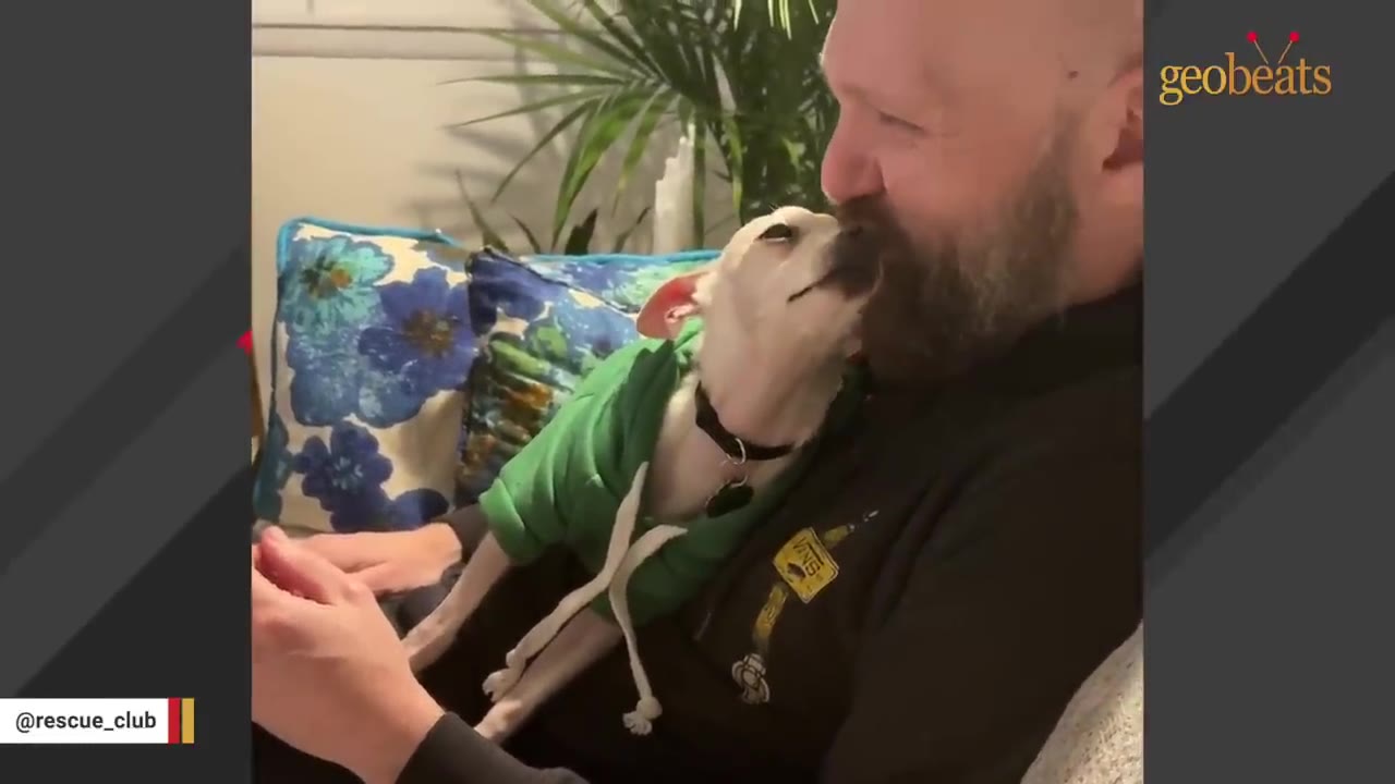 A small white dog wearing a green hoodie licks the beard of a smiling man sitting on a couch.