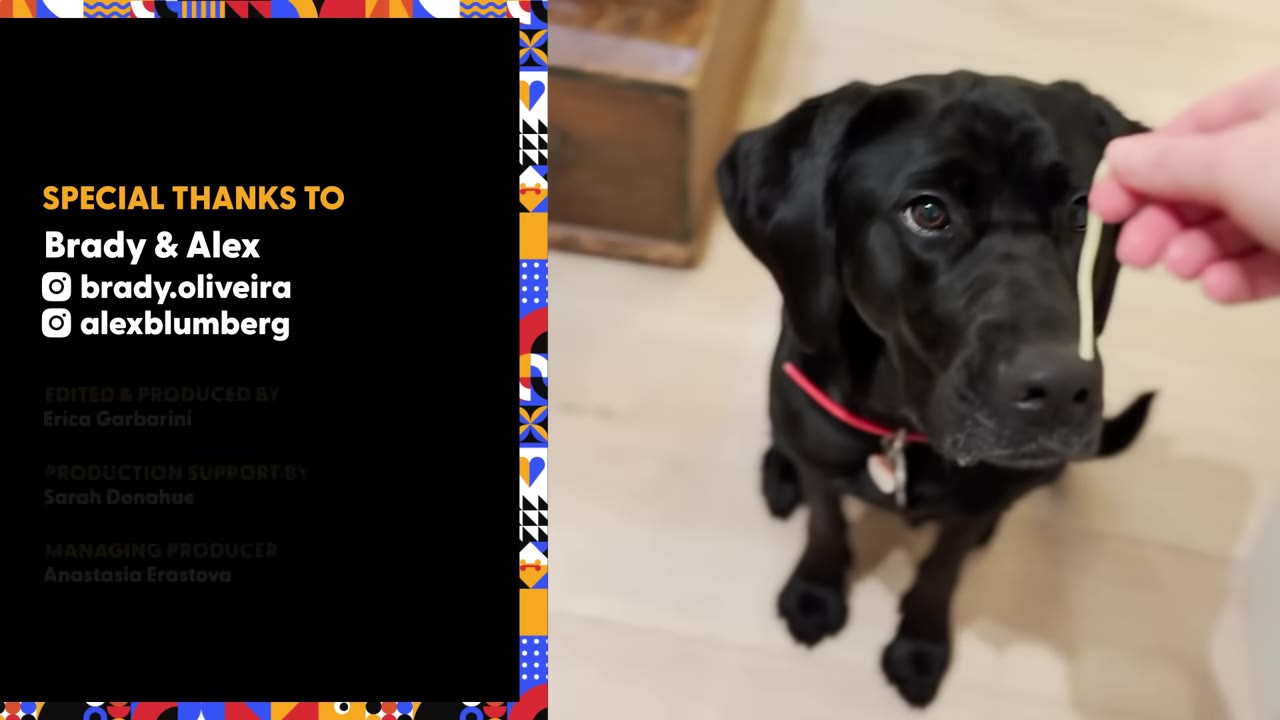 A black dog sits on a light-colored floor, looking up intently at a single noodle held in a person's hand.