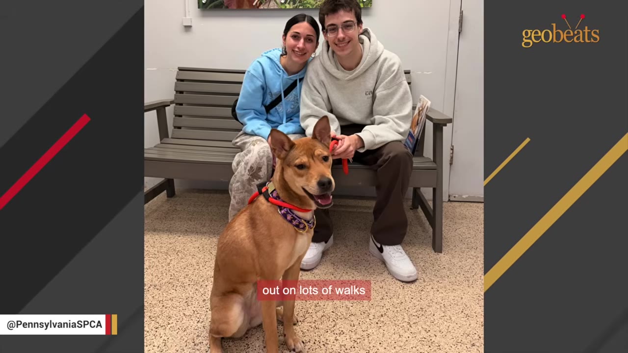 A smiling young couple sits on a bench with a brown dog sitting on the floor in front of them.