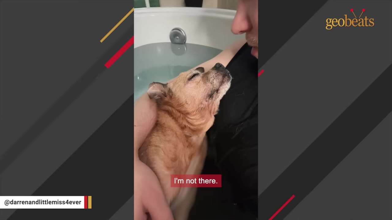 A close-up shot of a man holding a small, light-brown dog close to his chest in a bathtub, with the dog resting its head peacefully against him.