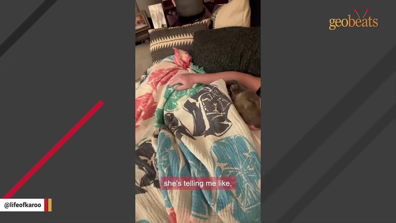A dog snuggled under a colorful blanket on a bed, resting its head right next to its owner's arm.