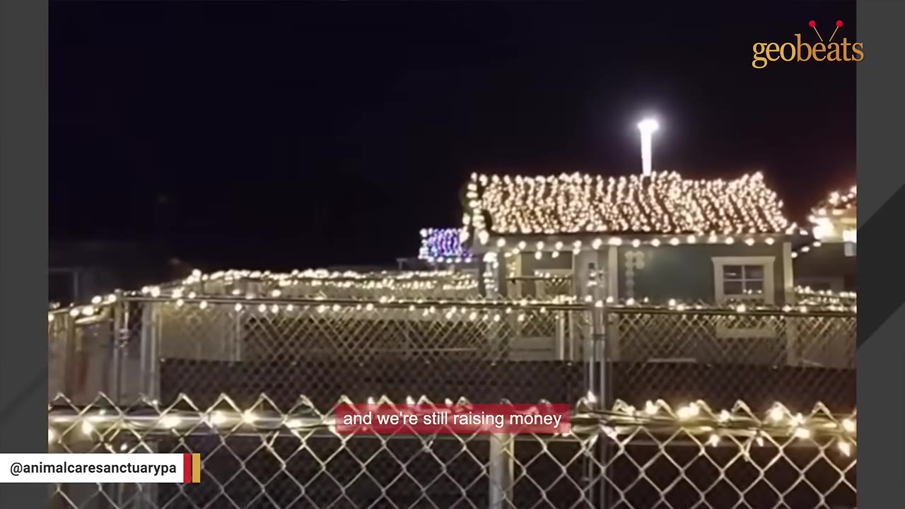 Small dog houses in a sanctuary village decorated with bright white string lights at night.