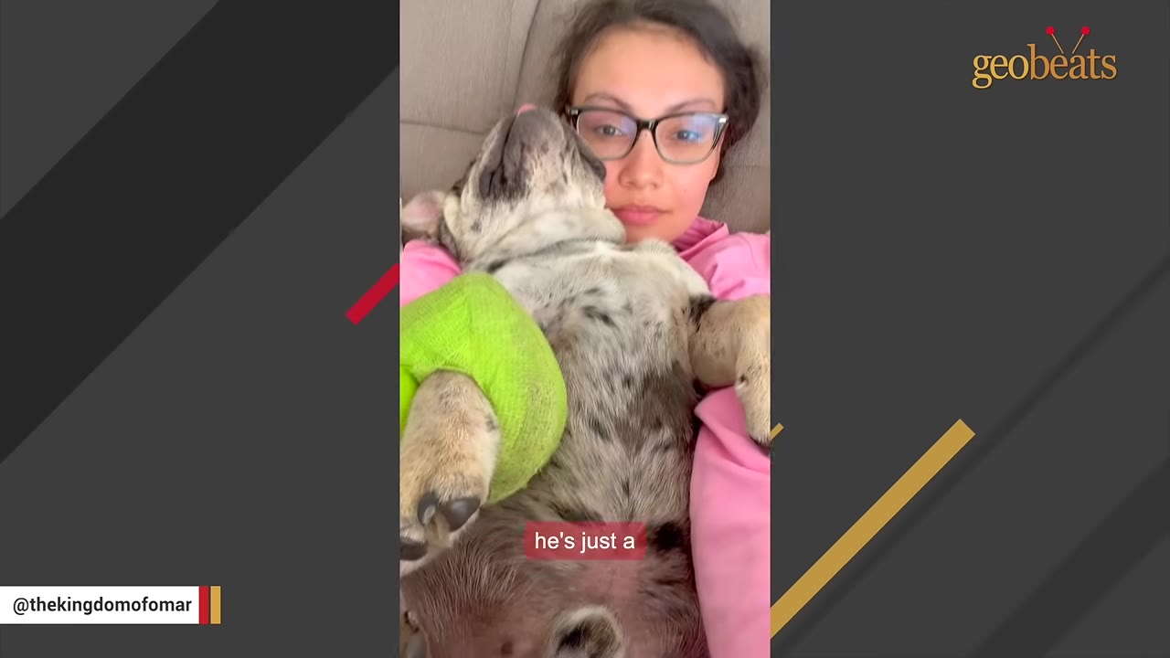 A woman wearing glasses and a pink shirt lies down with a brindle dog resting on her chest.