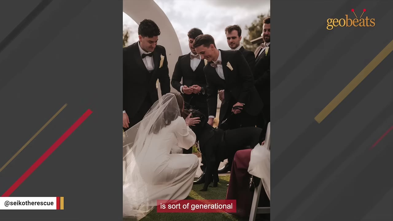 A bride in a white gown and veil kneels on the grass to pet a black dog, while the groom and groomsmen in black suits look on smiling during an outdoor wedding ceremony.