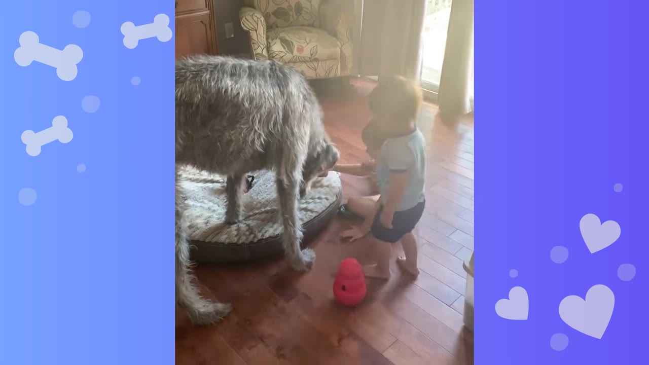 A large, shaggy grey Irish Wolfhound stands on a dog bed next to two young boys playing on a wooden floor.