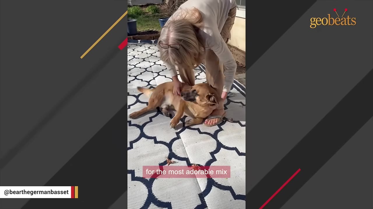 A woman with blonde hair bends over to pet a light brown dog lying on a patterned outdoor rug.