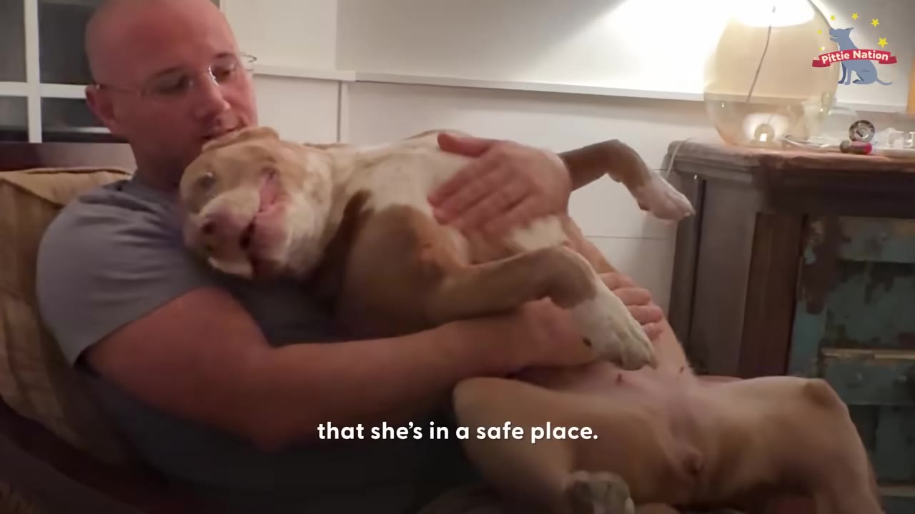 A man cradles a tan and white dog in his arms as the dog lies on its back, looking relaxed and content.
