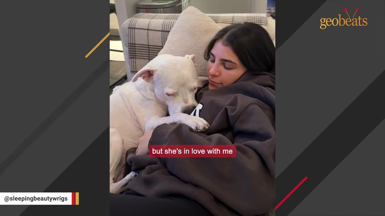 A white dog cuddles closely against a woman's chest as they lie together on a couch.
