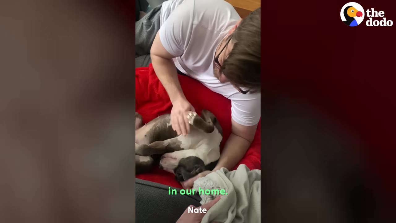 A man wearing glasses and a white t-shirt gently pets a black and white dog lying on its back on a red blanket.