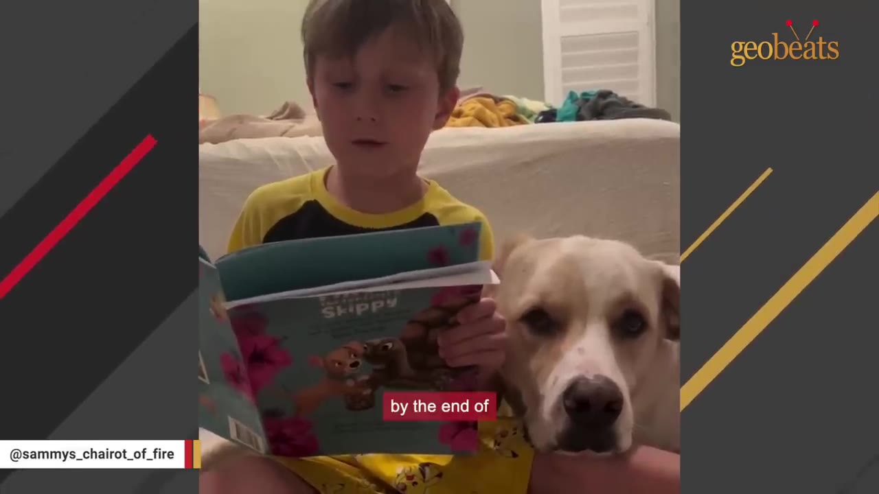 A young boy in a yellow shirt reads a book titled "Skippy" aloud while a light-colored dog sits closely beside him as a study buddy.