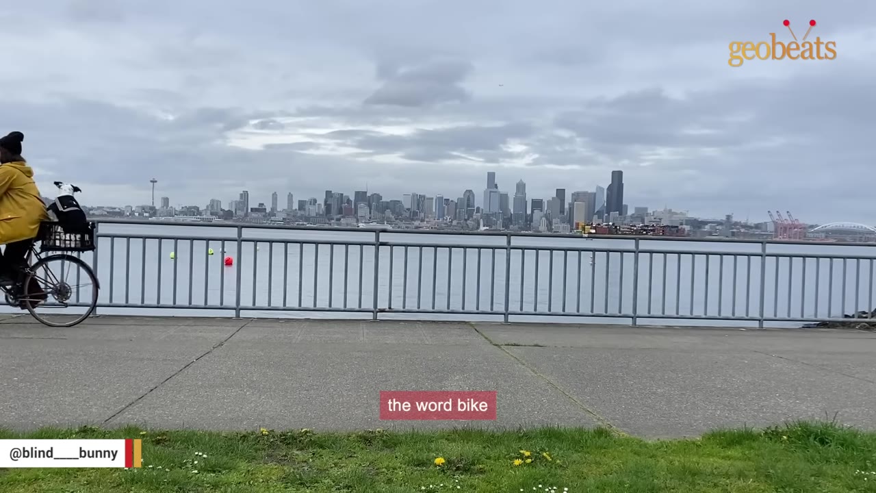 A person in a yellow jacket rides a bicycle with a dog in a rear basket along a waterfront path, with a city skyline in the background.