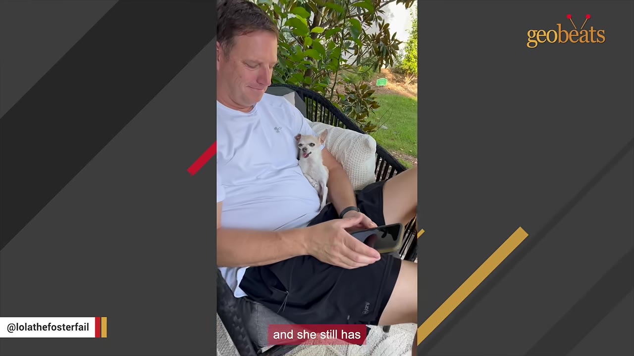 A man sitting in an outdoor chair with a small white chihuahua nestled comfortably against his chest.