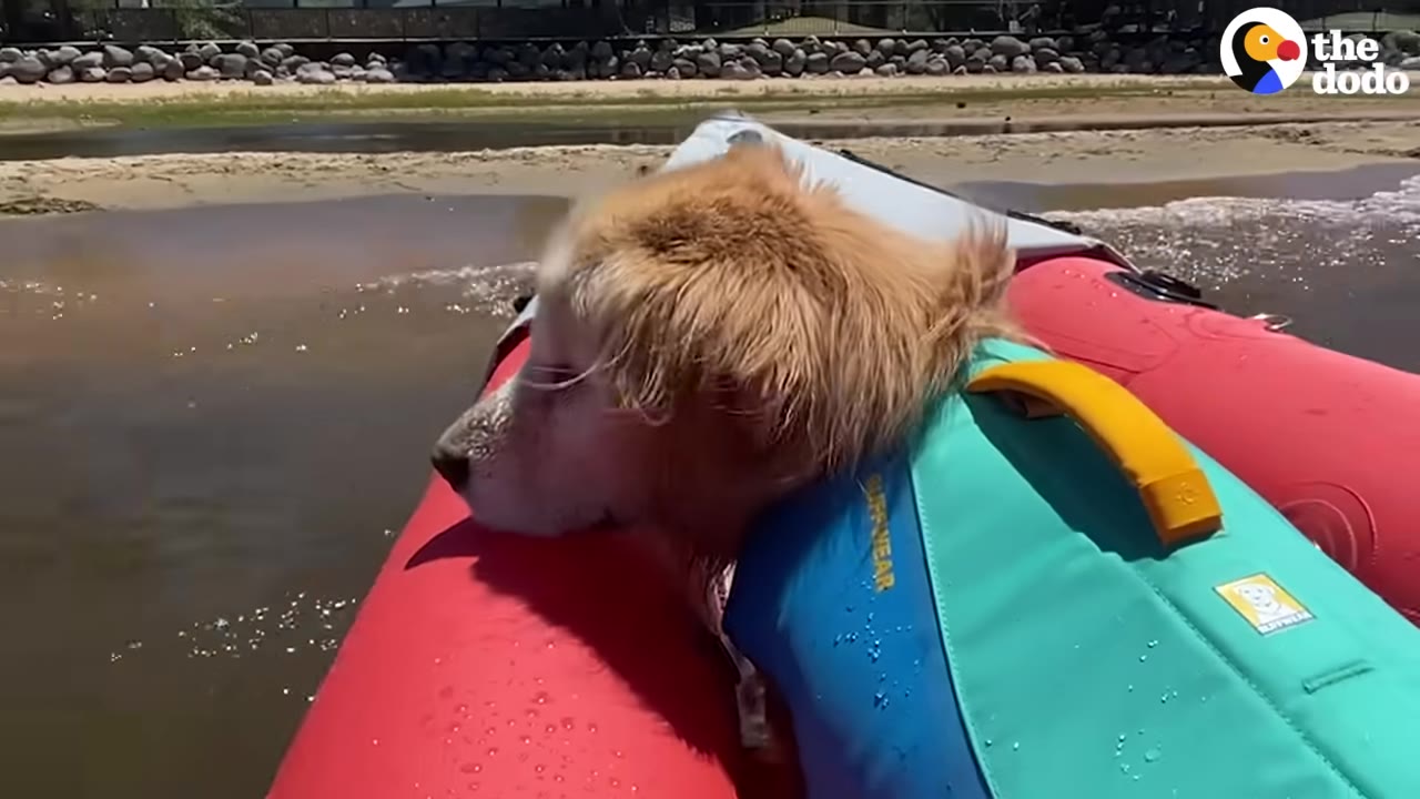 A golden retriever wearing a blue and teal life vest rests his head on the red side of an inflatable kayak on the water.