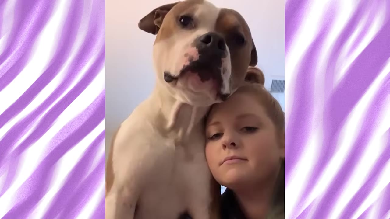 A brown and white dog rests its chin gently on the head of a young woman who is looking at the camera.