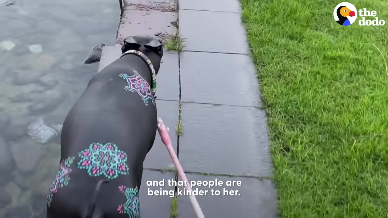 A hairless black dog with colorful mandala patterns painted on its back walks on a leash along a paved path next to a body of water.