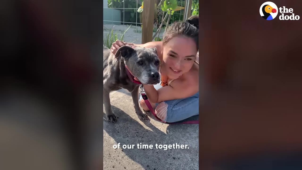 A smiling woman kneels on the ground outdoors, hugging and petting a grey dog.