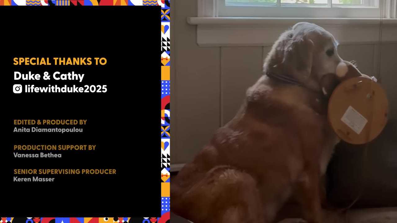 A golden retriever sitting indoors near a window, holding a round wooden object in its mouth.