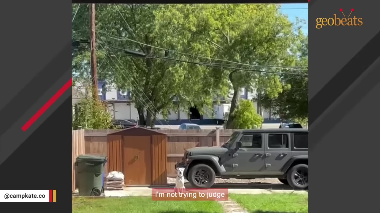 A white dog sits patiently on a driveway next to a grey Jeep, with a subtitle that reads 'I'm not trying to judge'.