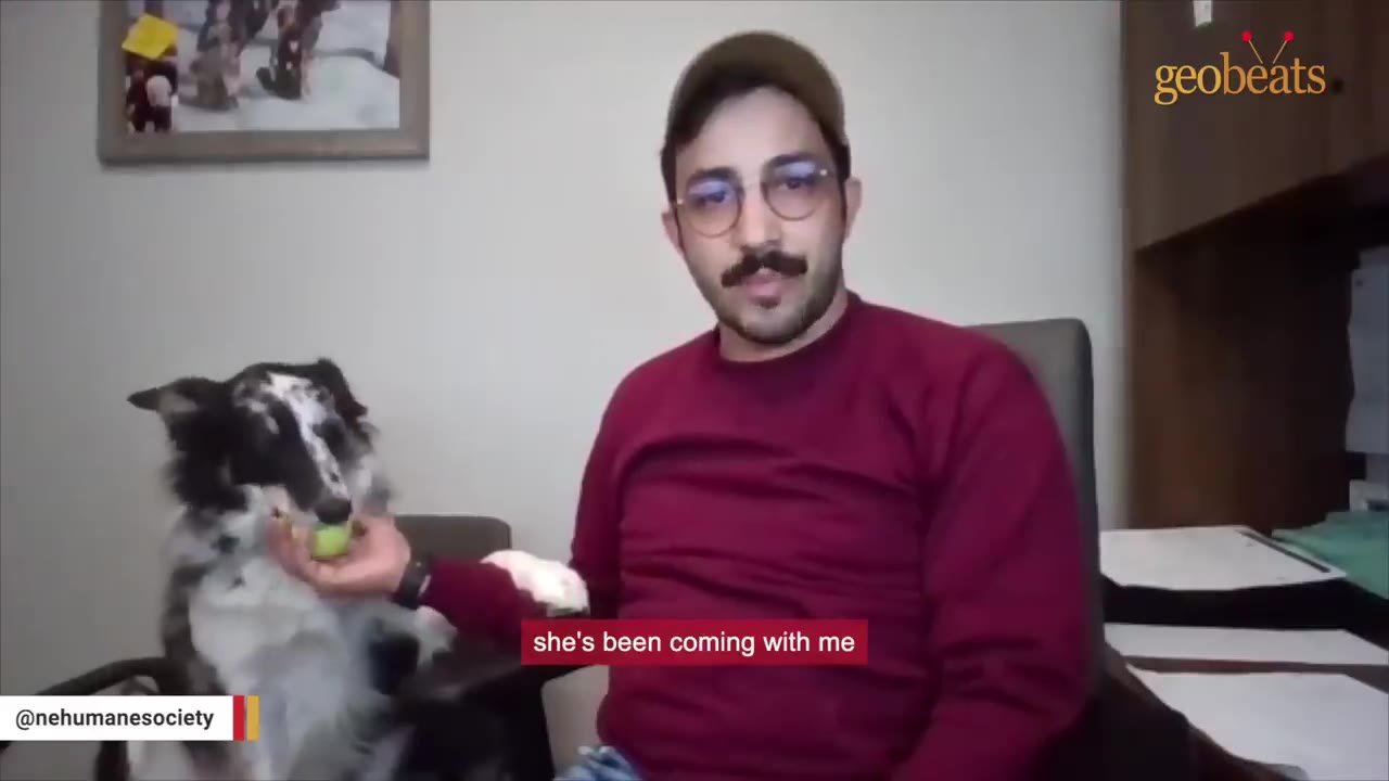 A man with glasses and a mustache wearing a red sweater holds a tennis ball in his hand for a black and white dog sitting next to him.