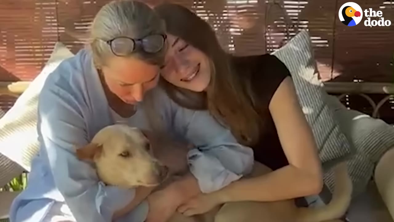 Two women embrace a light-colored dog while sitting together on an outdoor couch, looking comforted and emotional.