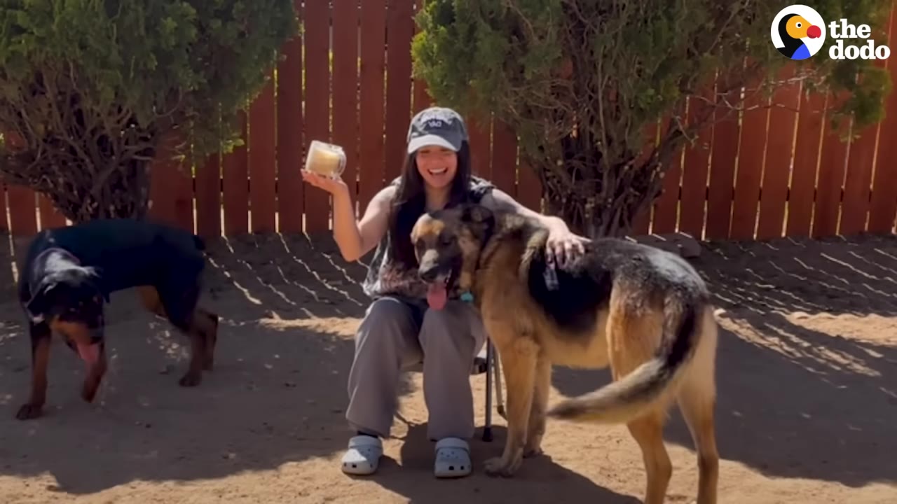 A smiling woman wearing a baseball cap sits outdoors, petting a German Shepherd dog standing beside her.