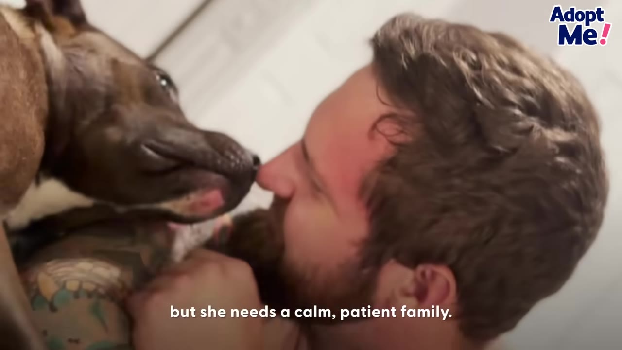 A close-up shot of a brown dog gently licking the nose of a bearded man.