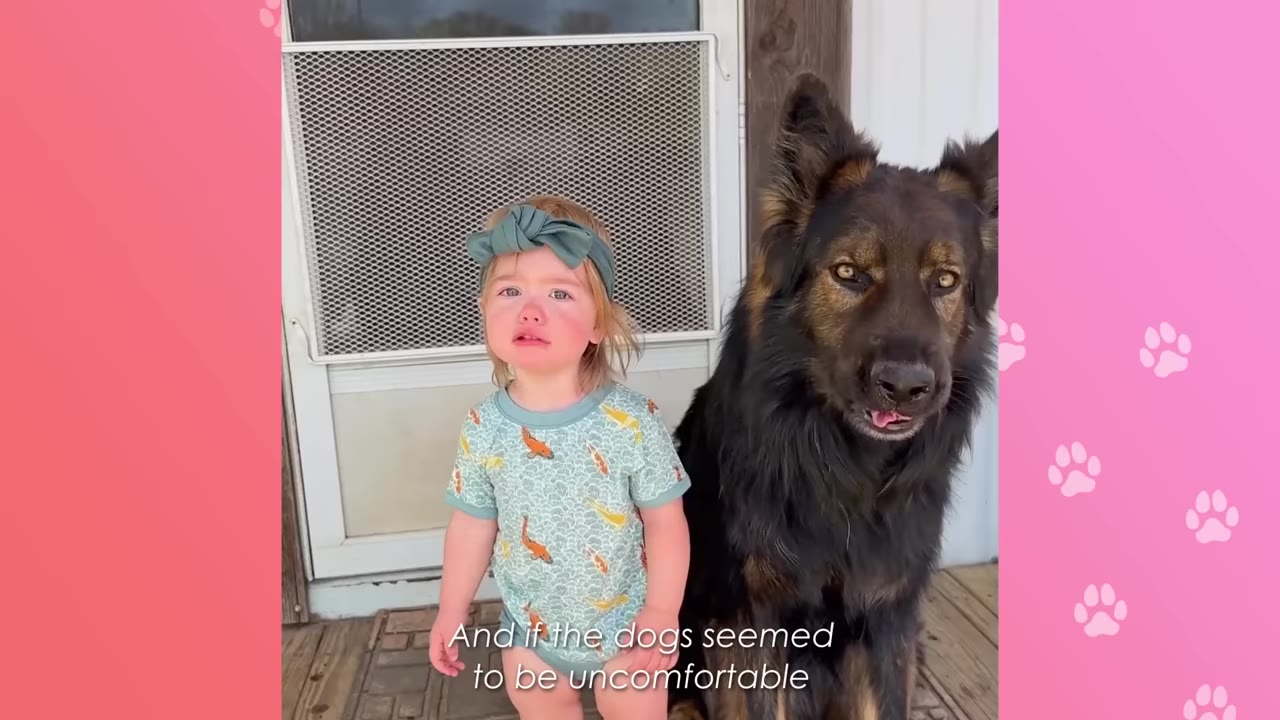 A young toddler wearing a green headband and patterned shirt stands next to a large, fluffy black and tan dog on a wooden porch.