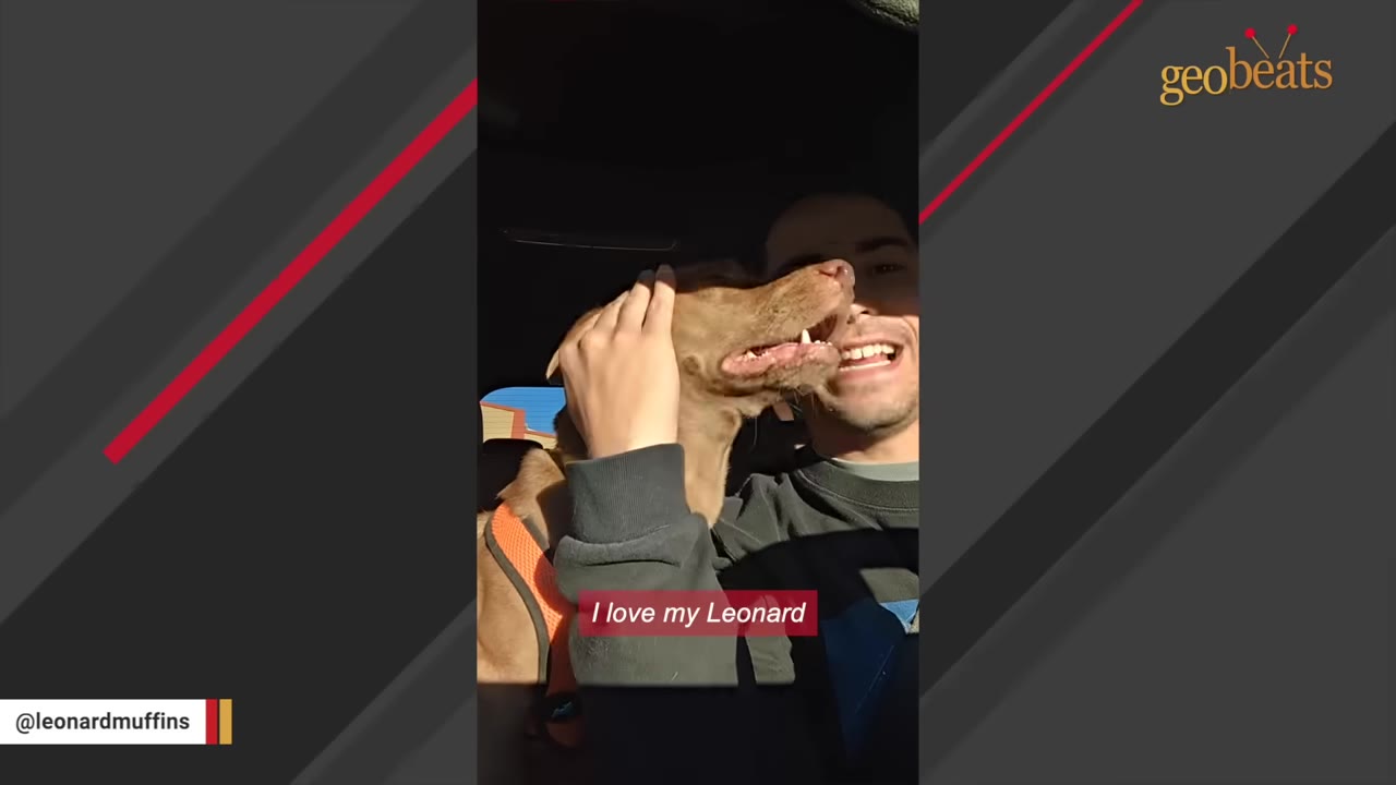 A smiling man in a car gently pets his brown dog, Leonard, who looks happy with his mouth slightly open.