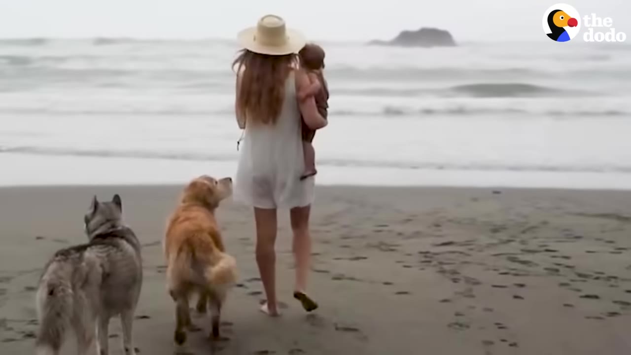 A mother wearing a sun hat and white dress walks along a sandy beach carrying her baby, accompanied by a golden retriever and a husky.