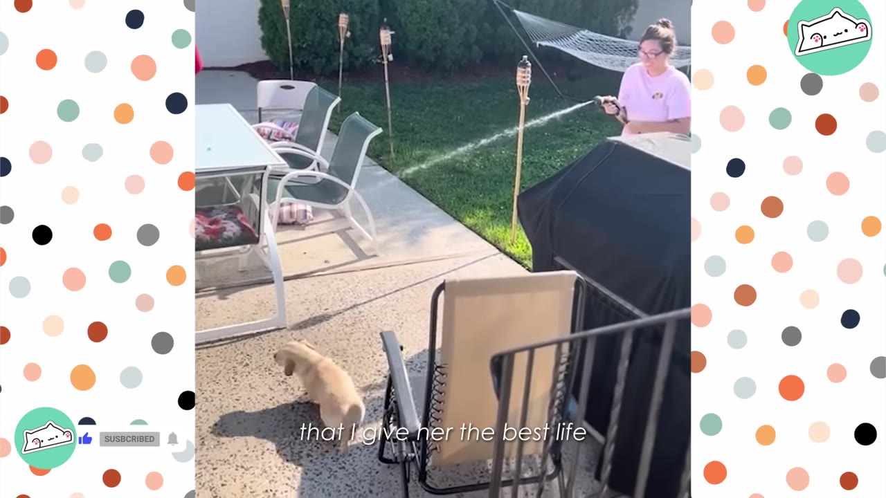 A woman in a pink shirt sprays a garden hose in a grassy backyard while a small light-colored dog walks on the patio nearby.