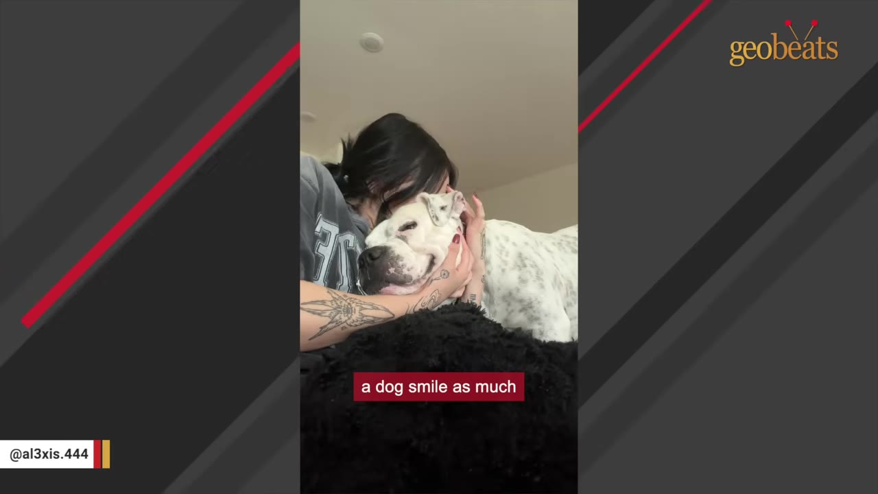 A woman with tattooed arms gently cradles a smiling white dog with black spots close to her face.