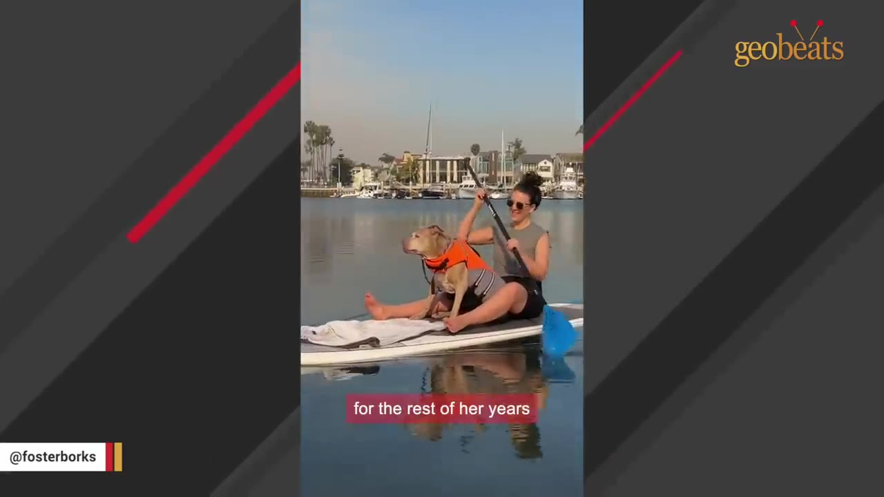 A woman wearing sunglasses sits on a paddleboard on calm water with a dog wearing an orange life vest, holding a paddle.