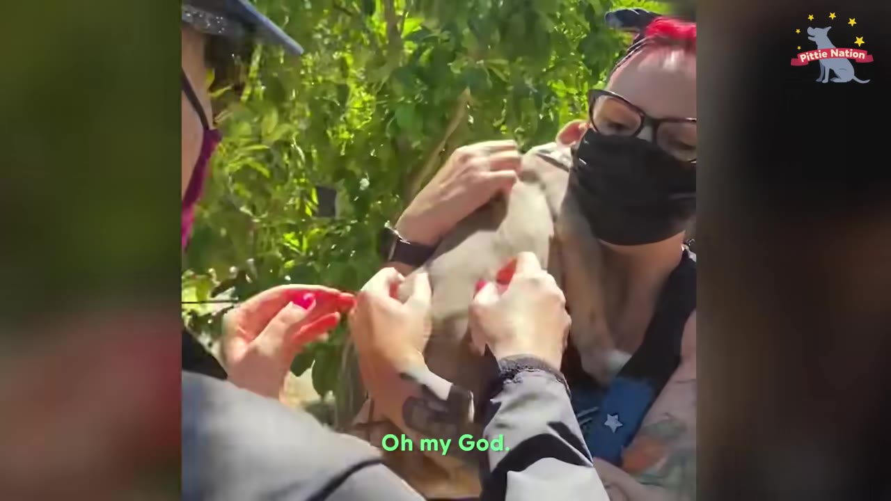 A close-up shot of a woman wearing glasses and a black face mask holding a small puppy close to her chest while another person gently pets the puppy.