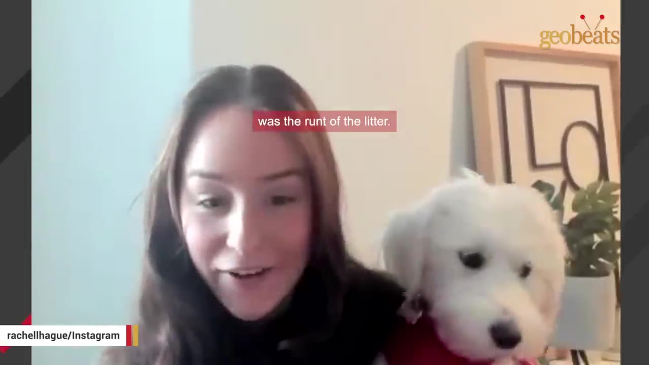 A woman holding a small white fluffy dog close to her face as she speaks.