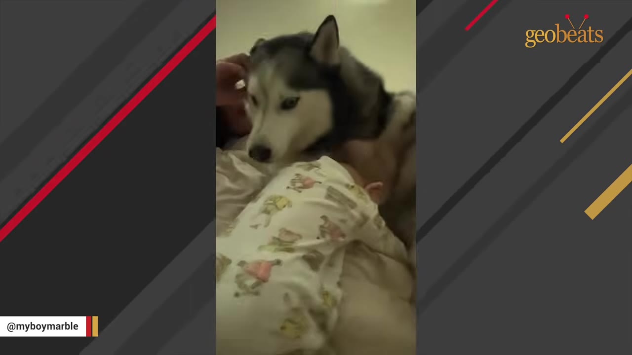 A husky dog lies next to a baby wearing patterned pajamas.