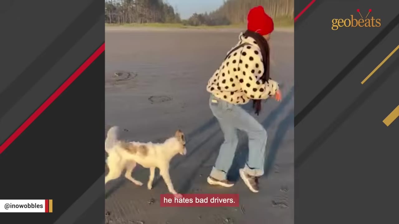 A white dog with brown spots walks on a sandy beach behind a person wearing a red beanie, a black-and-white polka dot jacket, and blue jeans.
