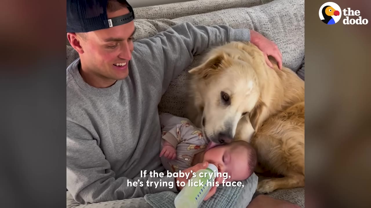 A golden retriever lies on a couch next to a man who is bottle-feeding a baby, with the dog gently licking the baby's forehead.