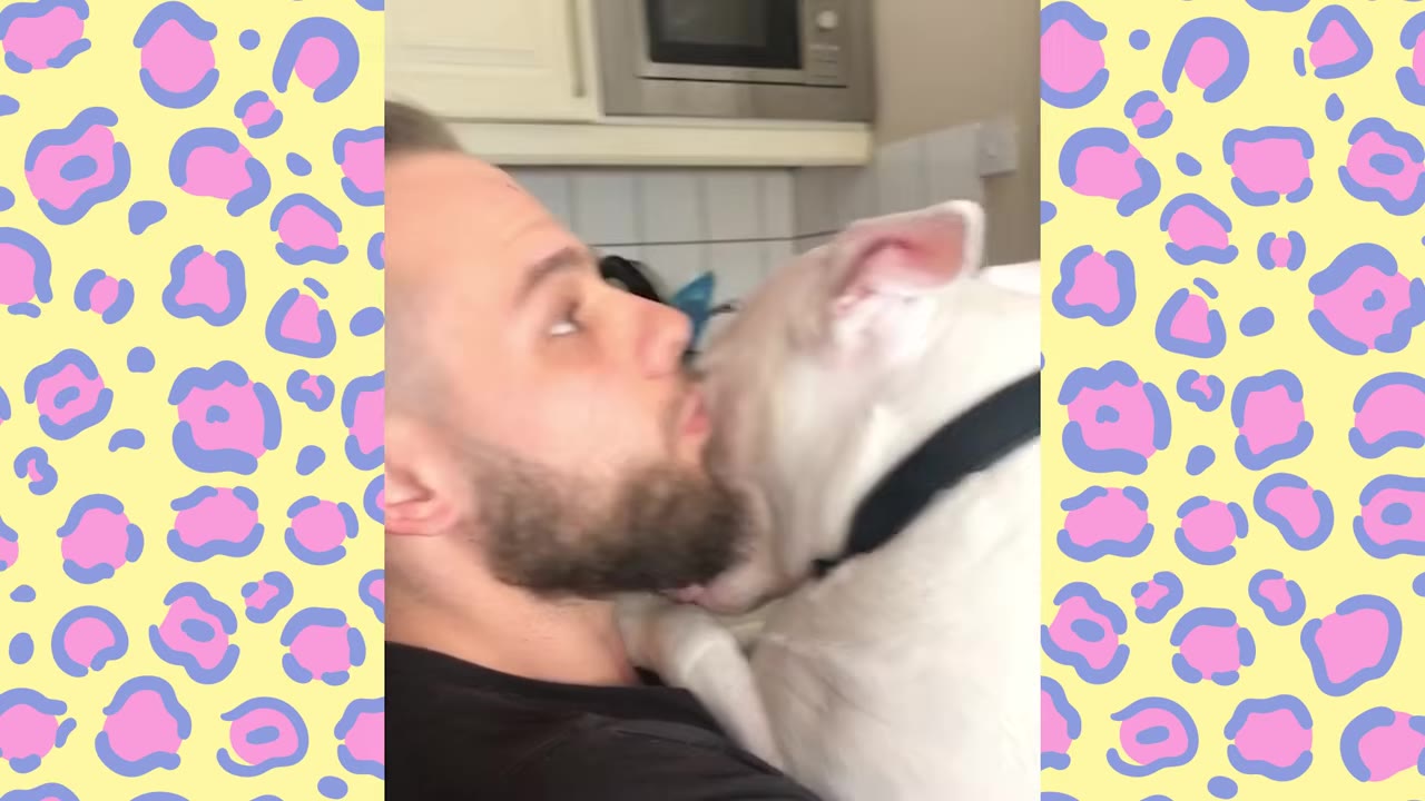 A close-up shot of a bearded man being affectionately licked on the face by a white dog.
