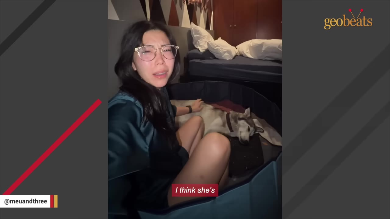 A worried woman wearing glasses sits next to a husky dog lying down in a whelping pool.