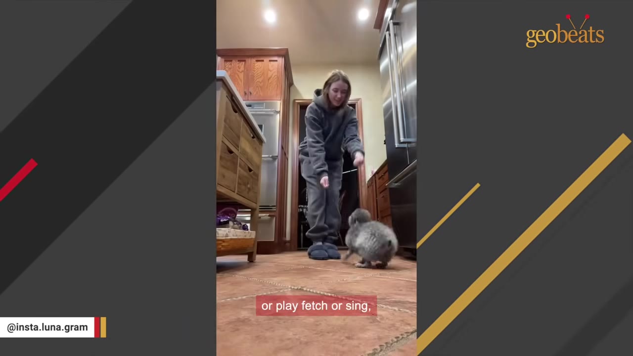 A young woman in a grey sweatsuit stands in a kitchen, smiling down at a small, fluffy grey puppy standing on the tiled floor.
