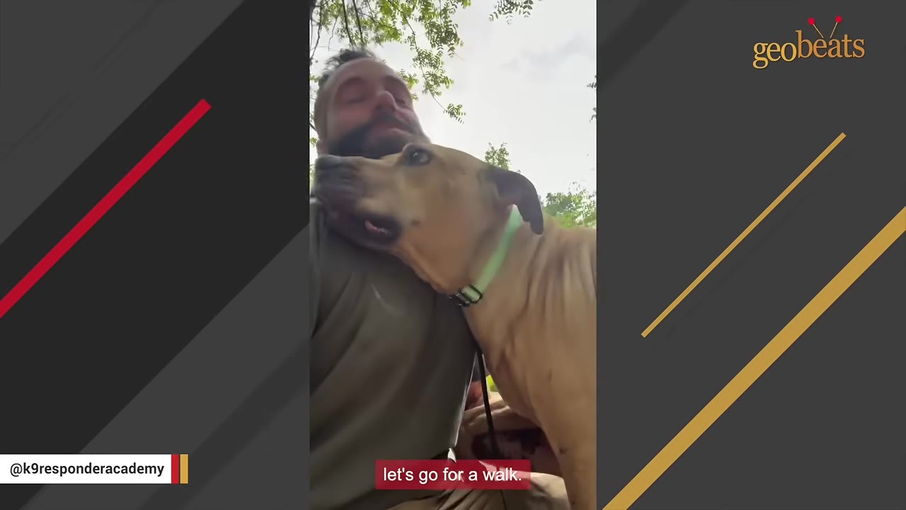 A tan dog wearing a light green collar leans its head affectionately against a man's chest outdoors.