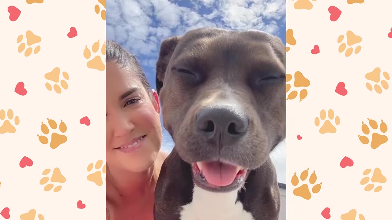 A close-up selfie of a smiling woman next to a happy brown and white dog squinting its eyes with its tongue out.