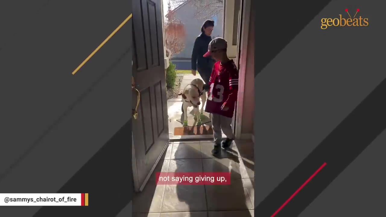 A woman, a young boy wearing a red jersey, and a light-colored dog walk through an open front doorway into a house.