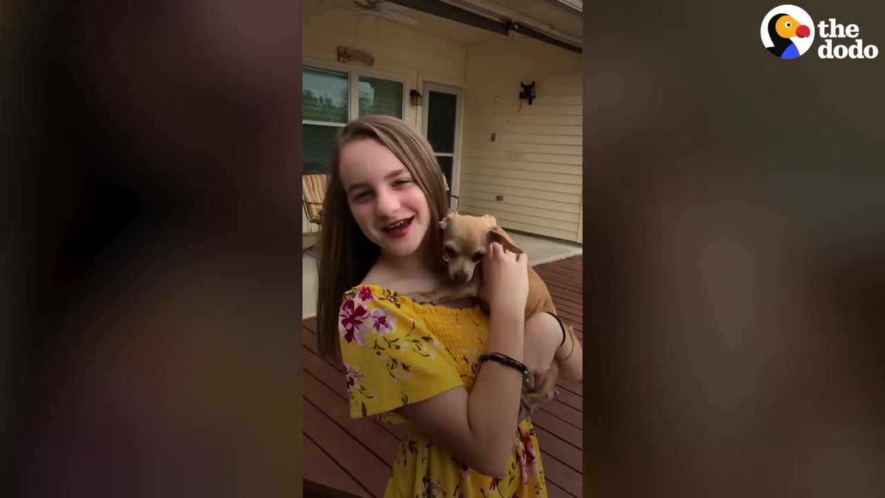 A smiling young girl in a yellow floral dress holding a small tan dog in her arms on an outdoor deck.
