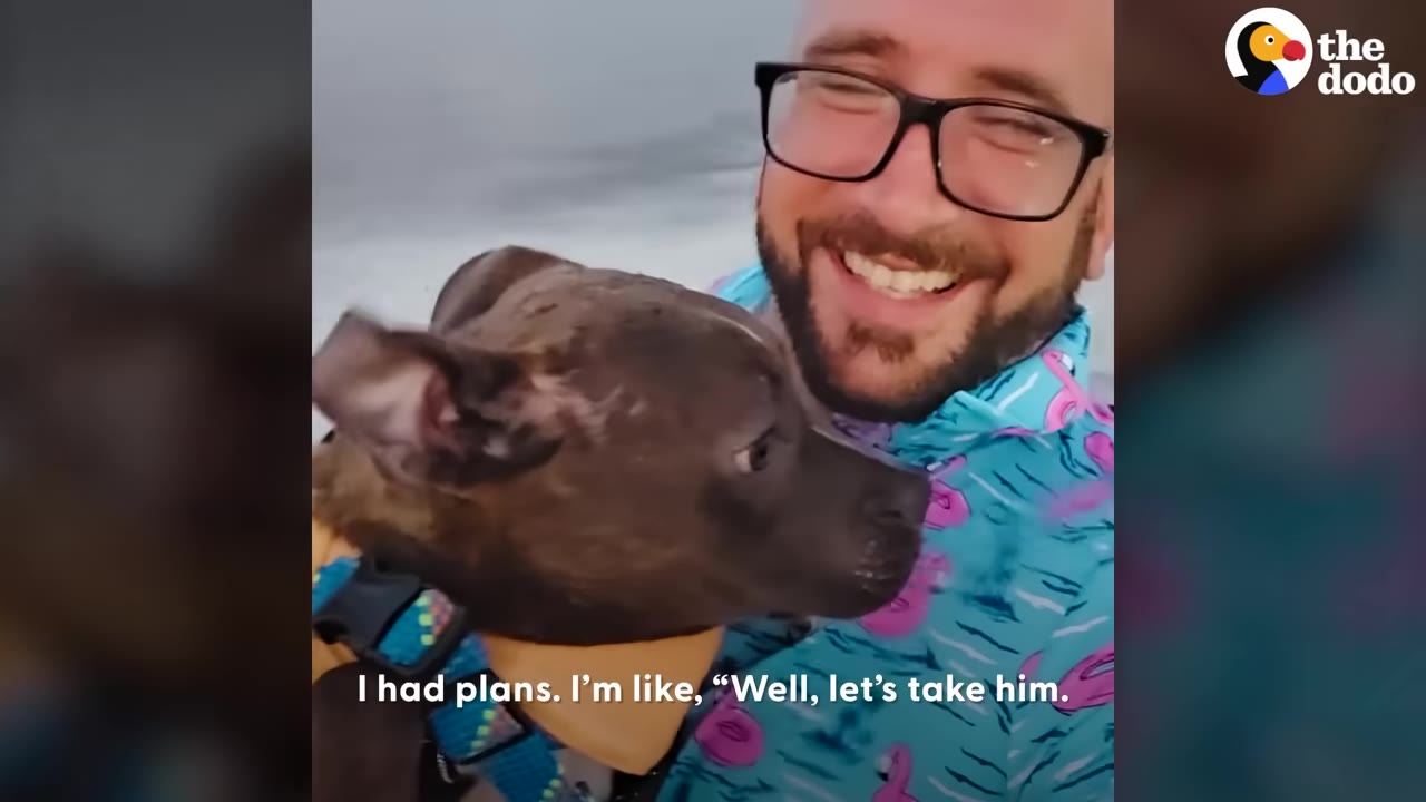 A smiling man with glasses holds a brindle dog wearing a yellow life jacket outdoors.