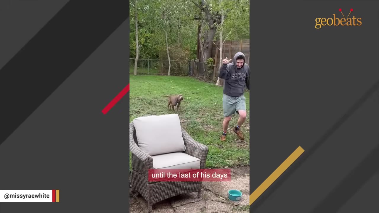 A man in a grey hoodie and shorts runs playfully in a grassy backyard next to a brown dog, with a wicker armchair in the foreground.