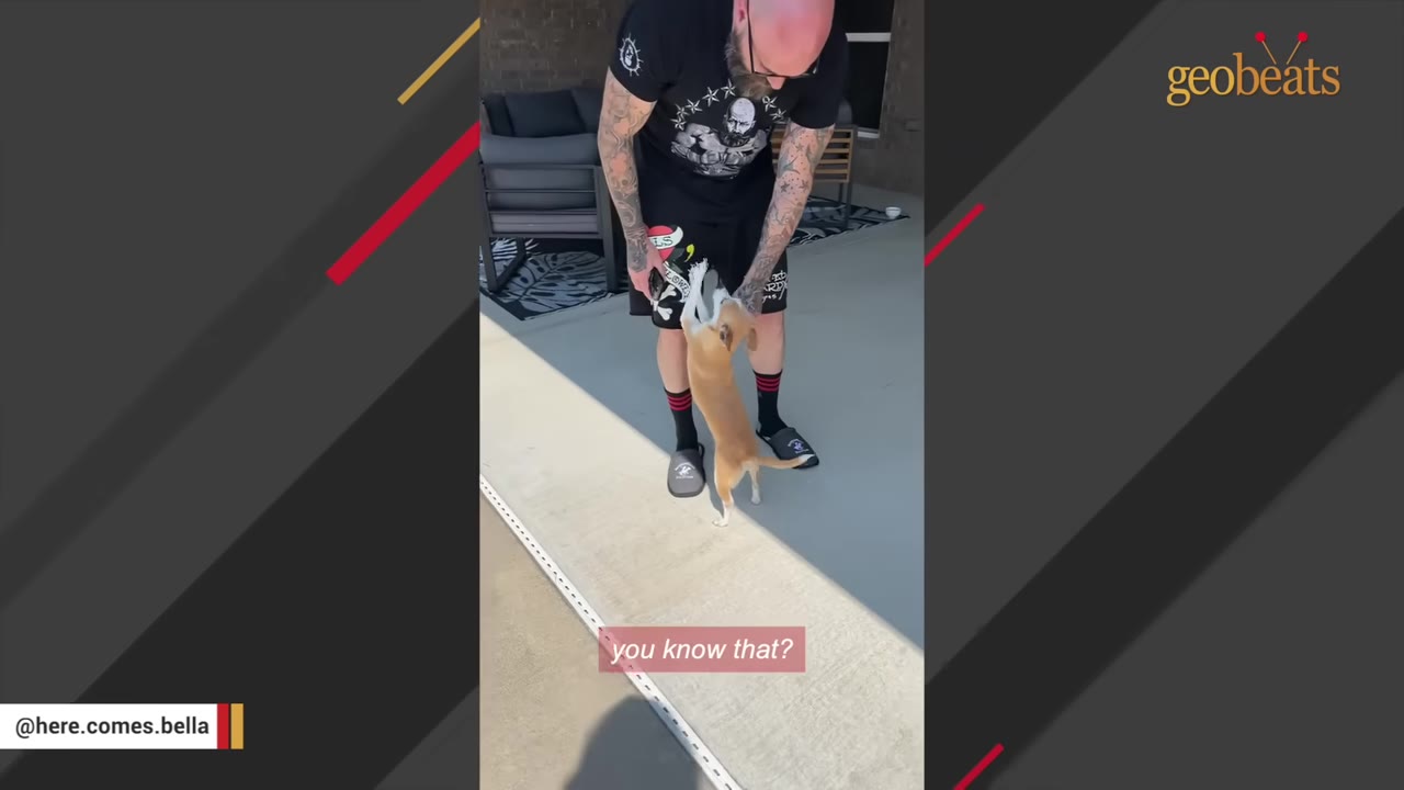 A man with tattoos on his arms stands on a patio, looking down at a small tan dog standing on its hind legs to reach him.
