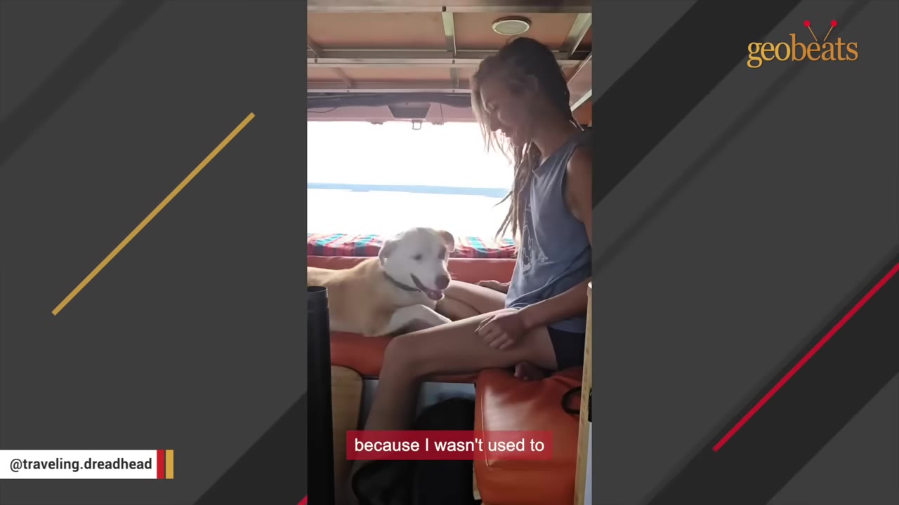 A light-colored dog sitting inside a camper van next to a woman, looking towards her with an open-mouthed smile.