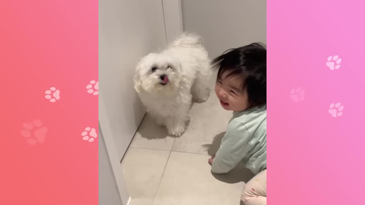 A small, fluffy white dog stands next to a smiling toddler crawling on a tiled floor.